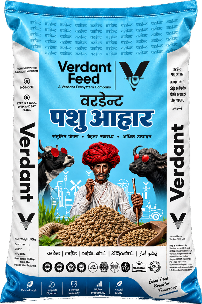 Cattle Feed